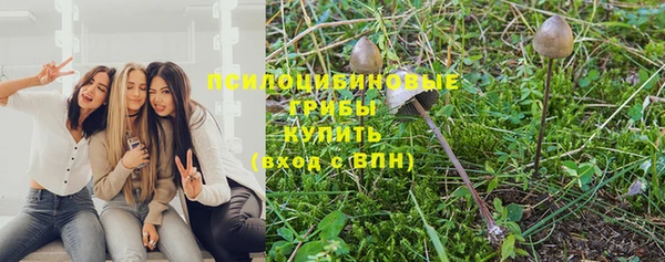 PSILOCYBIN Верея