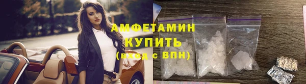 дурь Бородино