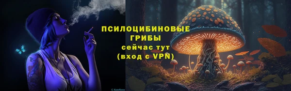 дурь Бородино