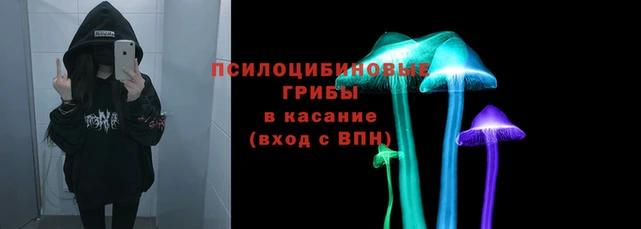 стаф Белоозёрский