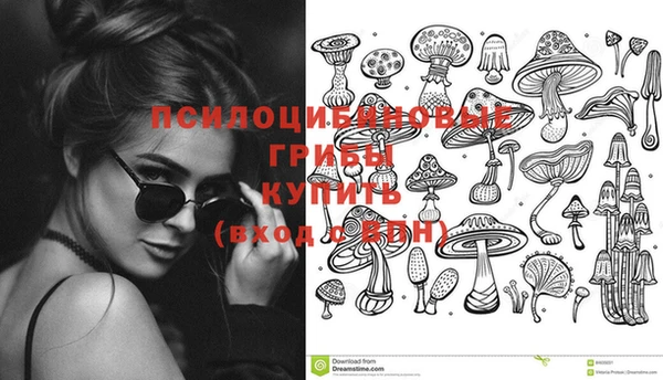 сатива Верхнеуральск