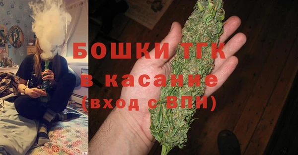 дурь Бородино