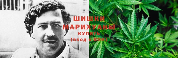 дурь Бородино