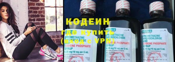 дурь Бородино