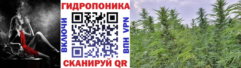 закладка  Глазов  Марихуана планчик 